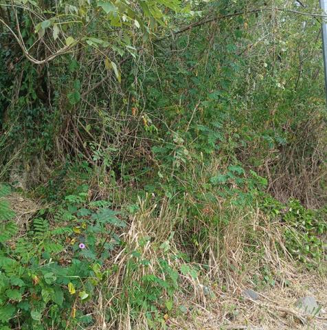 TERRAIN RARE A VISITER