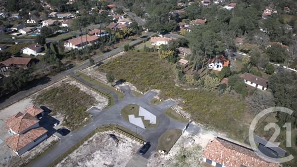 Terrain à vendre  1359 m2 MOLIETS ET MAA - 40