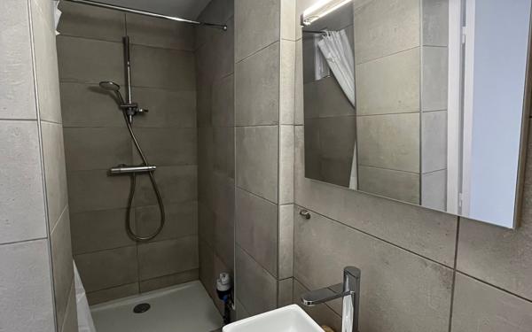 Appartement à louer    2 pièces • 46,73 m2 Lyon 4