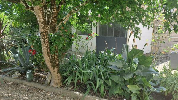 Entre Chateauneuf et Cognac charmante maison charentaise