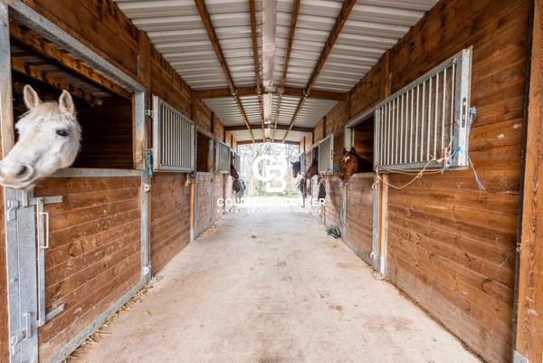 Propriété équestre 18 pièces à vendre Urrugne - 64122 / Réf: SR1-377