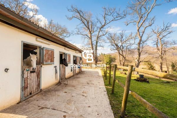 Propriété équestre 18 pièces à vendre Urrugne - 64122 / Réf: SR1-377