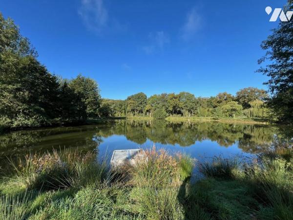 Terrain de loisir avec plan d'eau