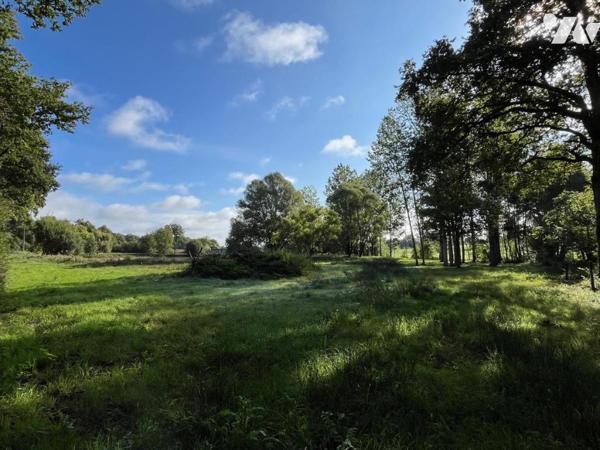 Terrain de loisir avec plan d'eau