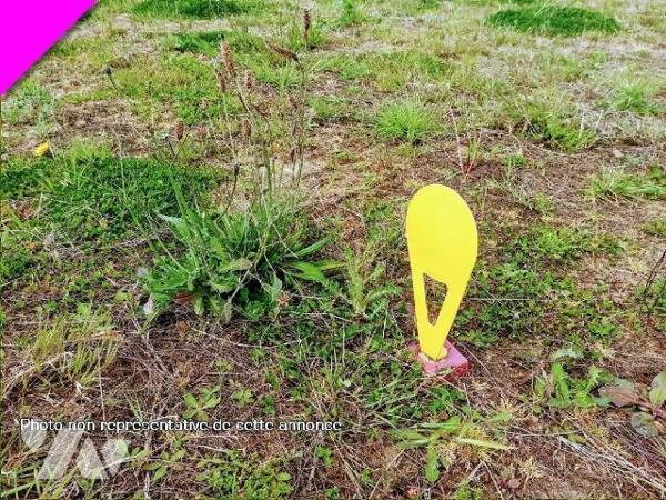 Dans une rue au calme, terrain plat de 260m² orienté nord/sud, borné mais non viabilisé.
Tous l...