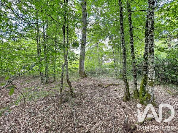 Terrain à vendre 893 m² Bazoches-sur-le-Betz