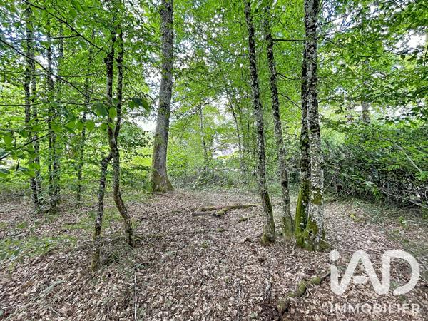 Terrain à vendre 893 m² Bazoches-sur-le-Betz