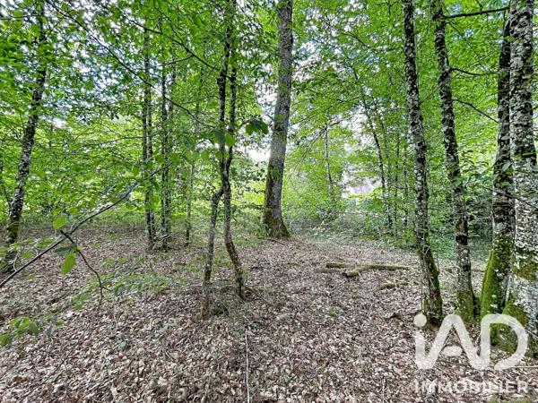 Terrain à vendre 893 m² Bazoches-sur-le-Betz