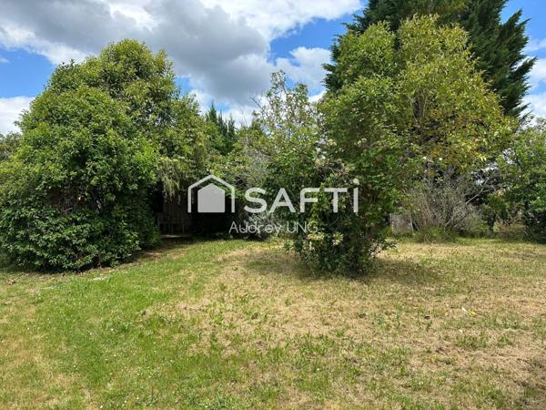 Terrain libre de constructeur