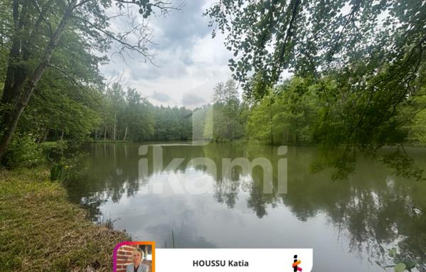 Havre de paix avec étang de loisirs proche Aubigny-sur-Nère