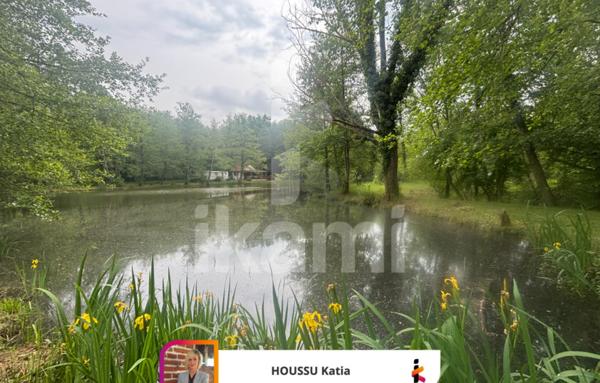 Havre de paix avec étang de loisirs proche Aubigny-sur-Nère