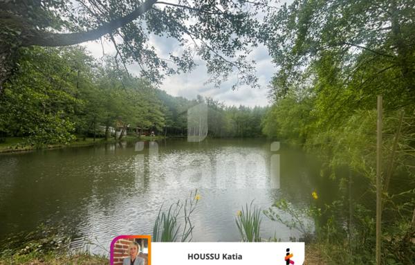 Havre de paix avec étang de loisirs proche Aubigny-sur-Nère