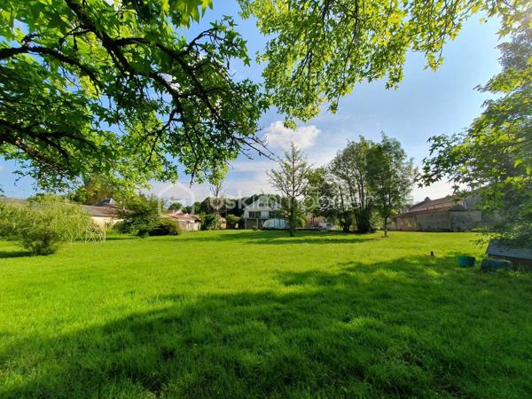 Il existe des maisons qui cherchent à impressionner.
Et puis il existe des lieux qui respirent.

Édifiée sur une base de chai datant de 1850, cette propriété de plus de 360 m² habitables semble avoir été pensée pour accueillir les vies qui débordent des cadres habituels : grandes familles, artistes, activités professionnelles, lieux d’accueil, projets de transmission ou simplement besoin profond d’espace et de nature.

Derrière ses murs restés fidèles à une partie de leur âme des années 60, la maison déploie des volumes rares :
7 chambres, une pièce de vie pouvant s’ouvrir sur près de 90 m² avec une vue plongeante sur la nature, un immense sous-sol occupant toute la surface de la maison, des dépendances et une parcelle constructible laissant encore la place aux projets futurs.

Le terrain de plus de 8 000 m² enveloppe le lieu dans une atmosphère presque hors du temps.
Le ruisseau, les arbres, les espaces plus secrets, les perspectives ouvertes… tout ici semble inviter à ralentir sans jamais s’isoler du monde.

Certaines maisons sont parfaitement rénovées.
D’autres sont profondément vivantes.

Le Clos de l’Hermine fait partie de ces lieux singuliers qui n’ont jamais cherché à devenir impersonnels pour suivre les tendances.
Un lieu authentique, inspirant, habité, qui laisse encore de la place à l’imaginaire autant qu’aux projets.

À proximité immédiate des commodités, écoles, services et du centre-ville de Saint-Jean-d’Angély.

Un bien rare pour les personnes sensibles aux maisons qui racontent encore quelque chose.

Maryse GUIRRIEC