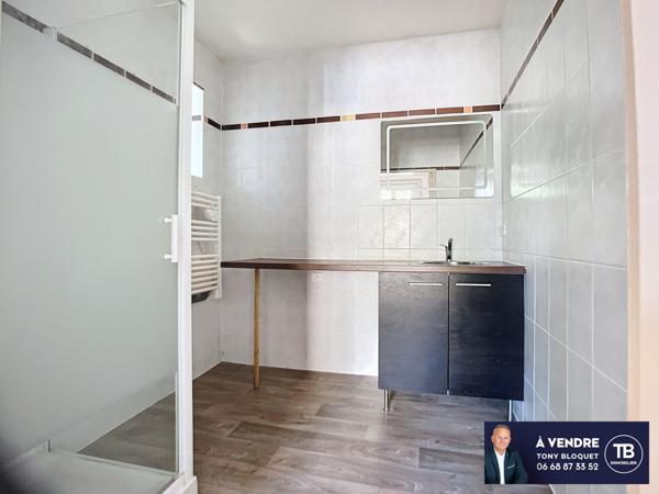 Bourgoin-Jallieu (38300) MAUBEC - MAISON DE CARACTERE + APPARTEMENT ET DEPENDANCES