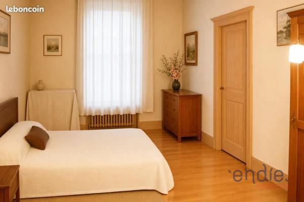 Immeuble de caractére avec local commercial et appartement avec fort potentiel