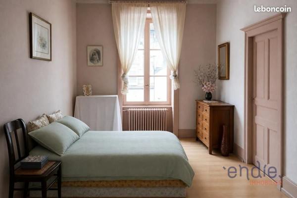Immeuble de caractére avec local commercial et appartement avec fort potentiel