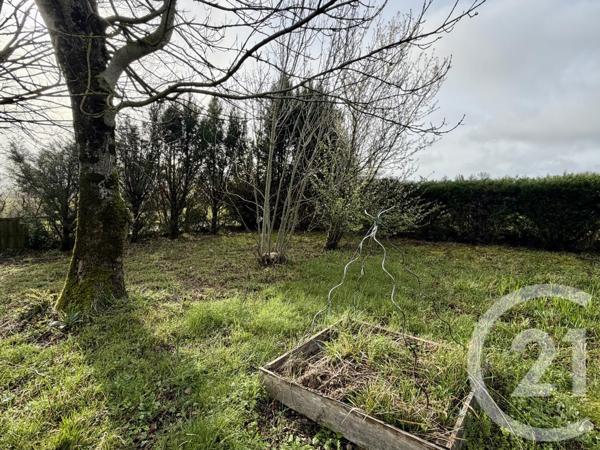 Terrain à vendre  1331 m2 LABRUGUIERE - 81