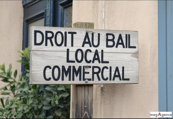 Fonds De Commerce à LES SABLES-D'OLONNE, 85100 - 71m²