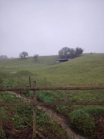 Nord Vendome, pavillon tout confort sur terrain 1,5 ha et dépendances