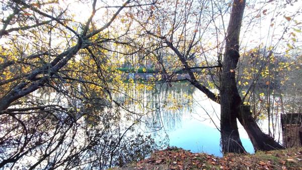 Terrain de 4 445,00 m² avec étang à MEZIERES SUR OISE (02)