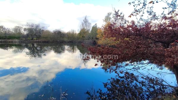 Terrain de 4 445,00 m² avec étang à MEZIERES SUR OISE (02)