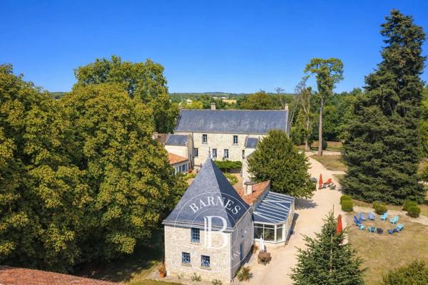 Chinon, Château 9 Chambres -  530 m² à vendre