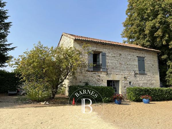 Chinon, Château 9 Chambres -  530 m² à vendre