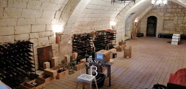 Chinon, Château 9 Chambres -  530 m² à vendre