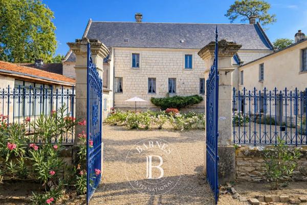 Chinon, Château 9 Chambres -  530 m² à vendre