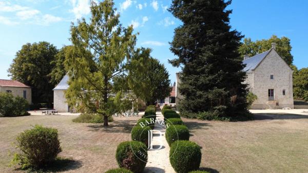 Chinon, Château 9 Chambres -  530 m² à vendre