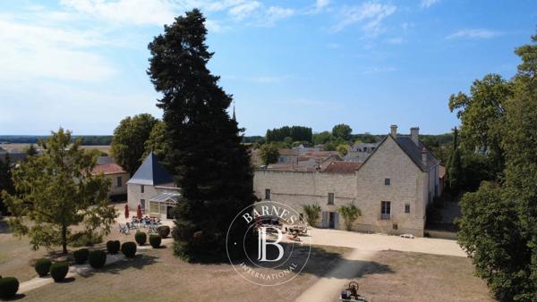 Chinon, Château 9 Chambres -  530 m² à vendre