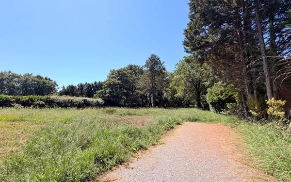 Terrain à vendre