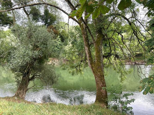 Appartement Gournay Sur Marne 3 pièce(s)