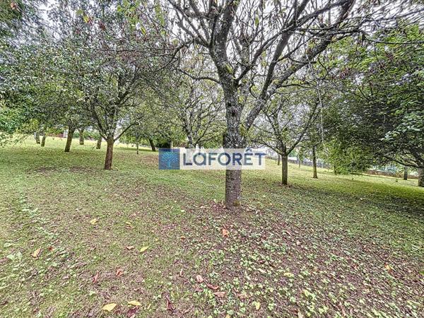 Achat terrain Wassy - 844 m² - 31 500 €