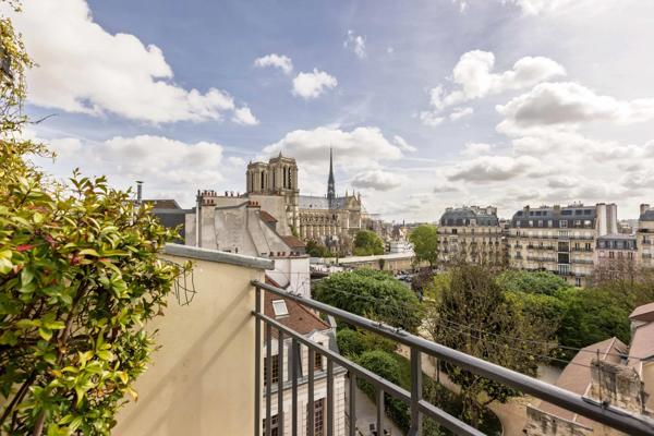 Paris 5 - Notre Dame - Vues d'exception - Terrasse