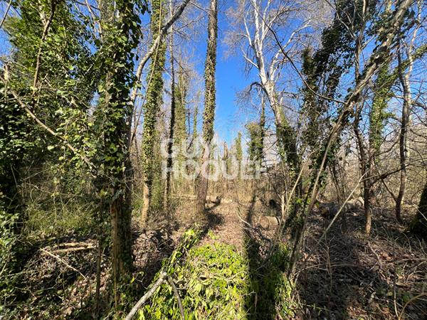 30 MIN FONTAINEBLEAU