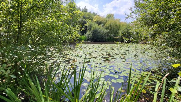 Maison Vertou 6 pièces 198 m2 sur une parcelle, avec piscine et étang, de 6316m².