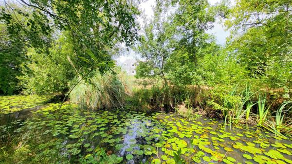Maison Vertou 6 pièces 198 m2 sur une parcelle, avec piscine et étang, de 6316m².