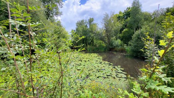 Maison Vertou 6 pièces 198 m2 sur une parcelle, avec piscine et étang, de 6316m².