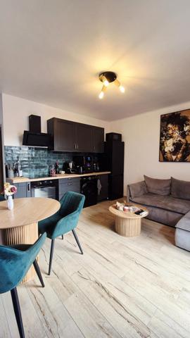 CHARMANT T2 ENTIÈREMENT RÉNOVÉ