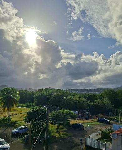 Cadre calme et volumes généreux pour cette maison familiale