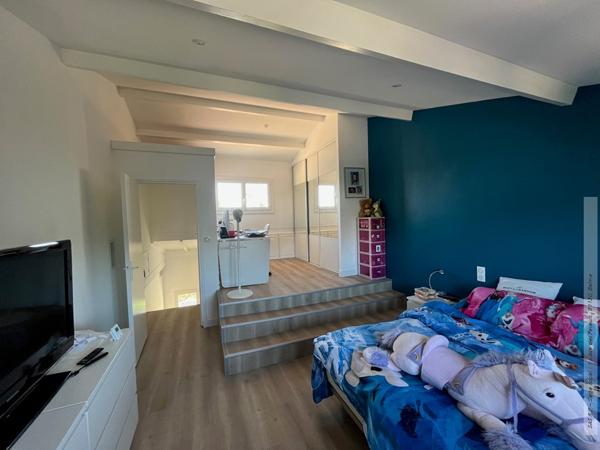 Bruguières (31150) VILLA D'EXCEPTION AVEC PISCINE