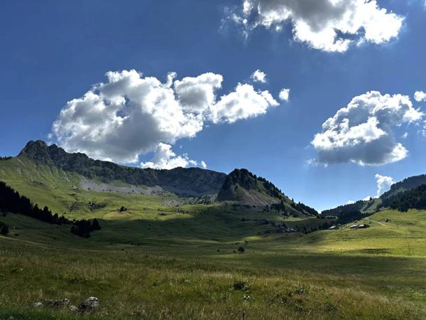 Chalet d’exception – Front de neige, Plateau de Sommand (2017)