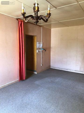 Maison à vendre à La Champenoise dans l'Indre (36100), ref : 11813/1523