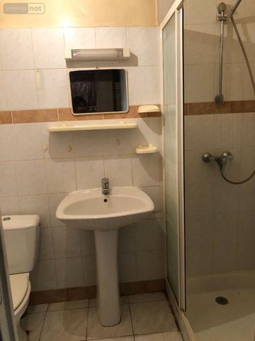 Maison à vendre à La Champenoise dans l'Indre (36100), ref : 11813/1523