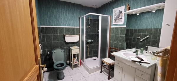 Ferrières-Saint-Mary (15170) Maison de village en pierre avec beaucoup de cachet au cœur de Ferrières-Saint-Mary (15)