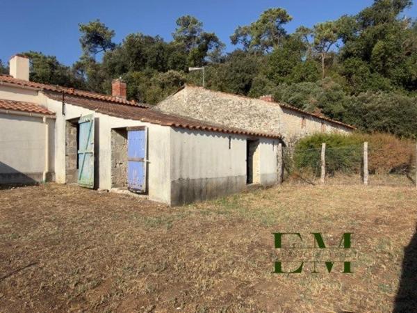 LONGERE RENOVEE - LES CONCHES - Entre Spots de surf de qualité et Forêt