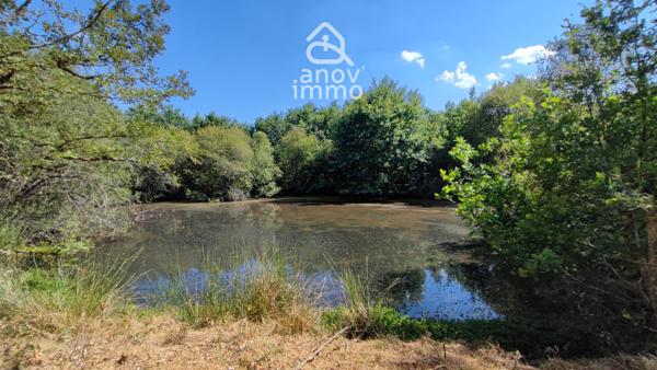 Autre
                                                                                                                                                                                                                                                                                                                        1 pièce(s)                                                                                                                                                                                                                                                                                                                              250  m²