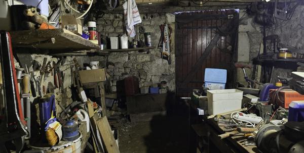 Viager occupé