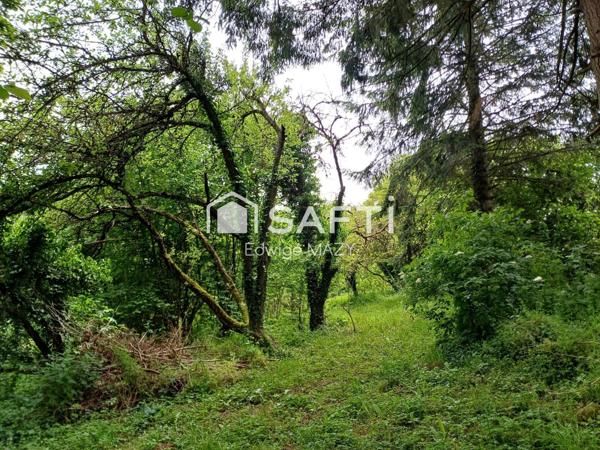 Belle opportunité  à saisir